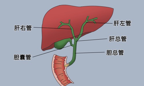 胆结石发作有哪些症状出现-【胆结石有哪些症状出现】胆结石疼有哪些症状 - 胆结石嗳气症状网